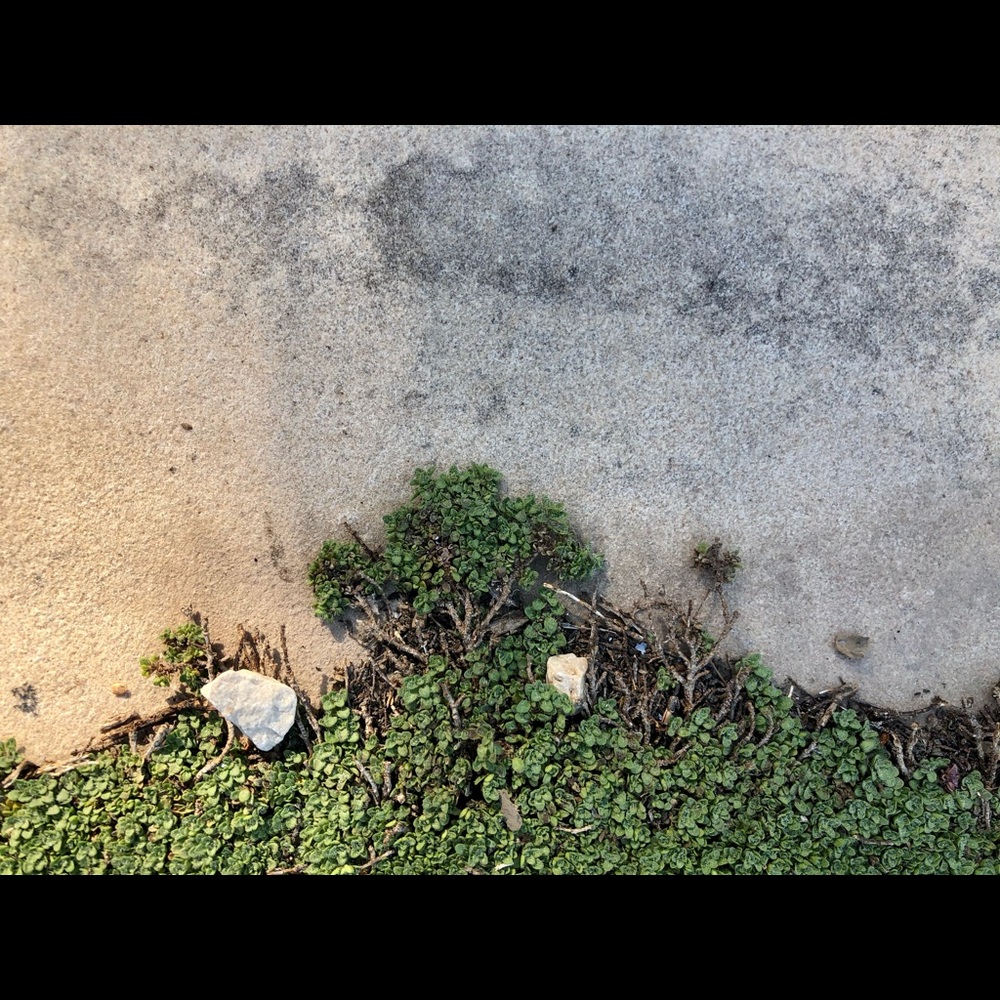 Meet your Posher, Rochelle - Picture 13 of 16